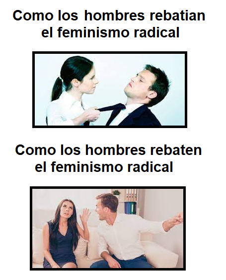 Luchar Feminismo Radical.png