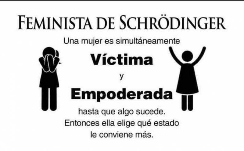 Archivo:Feminismo de shrodinger.png